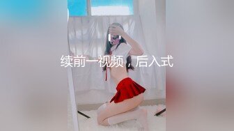 续前一视频，后入式