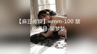 【麻豆传媒】wmm-100 禁慾满月-吴梦梦