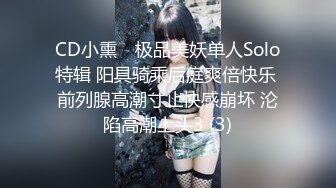 CD小熏✨ 极品美妖单人Solo特辑 阳具骑乘后庭爽倍快乐 前列腺高潮寸止快感崩坏 沦陷高潮上头3 (3)