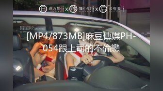 [MP4/873MB]麻豆傳媒PH-054跟上司的不倫戀