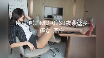 麻豆传媒 MD-0239夜袭返乡侄女-周宁