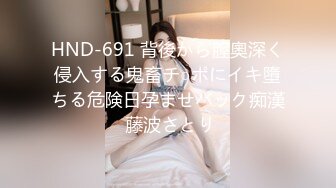 HND-691 背後から膣奧深く侵入する鬼畜チ○ポにイキ墮ちる危険日孕ませバック痴漢 藤波さとり