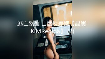 逃亡系列 山西反差婊【晶崽 KiMRegina】 (2)