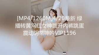 [MP4/1260M]4/20最新 绿播转黄网红女神拨开内裤跳蛋震动阴蒂呻吟VIP1196