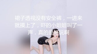 裙子透视没有安全裤，一进来就摸上了，吓的小姐姐叫了一声，真的是好玩啊