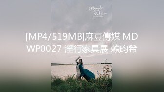 [MP4/519MB]麻豆傳媒 MDWP0027 淫行家具展 賴畇希