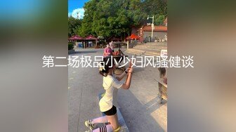 第二场极品小少妇风骚健谈