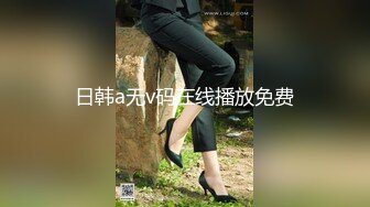 日韩a无v码在线播放免费