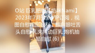 O站 巨乳肥臀【奶咪Nami】2023年7月最新VIP订阅，视图自慰视图福利，翻白眼吐舌头自慰 乳夹抖动巨乳 炮机抽插自慰 (6)