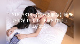 STP23819 【钻石级推荐】麻豆传媒 TT-005 -F罩杯性感巨乳DJ 孟若羽