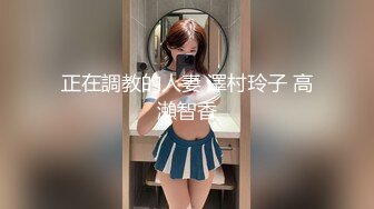 正在調教的人妻 澤村玲子 高瀨智香