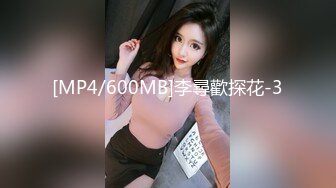 [MP4/600MB]李尋歡探花-3