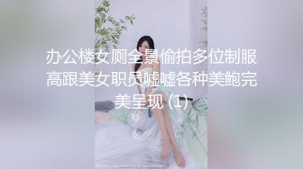 办公楼女厕全景偷拍多位制服高跟美女职员嘘嘘各种美鲍完美呈现 (1)